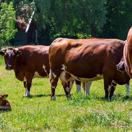 Camping "De Stuurmanskolk" Welsum Zewnętrze zdjęcie